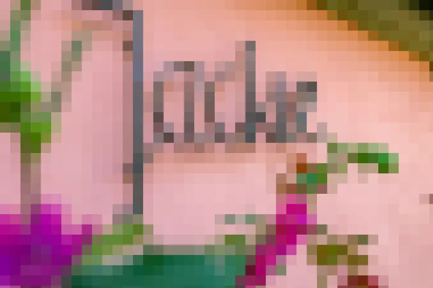 de Pas 13 Doornenburg thumbnail 10