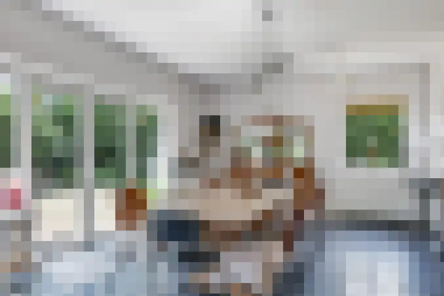 de Pas 13 Doornenburg thumbnail 12