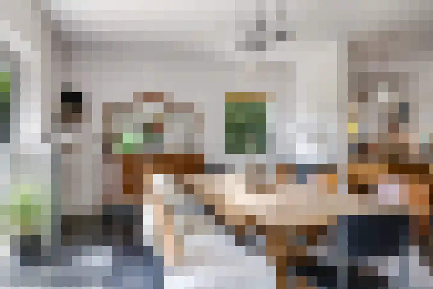 de Pas 13 Doornenburg thumbnail 13