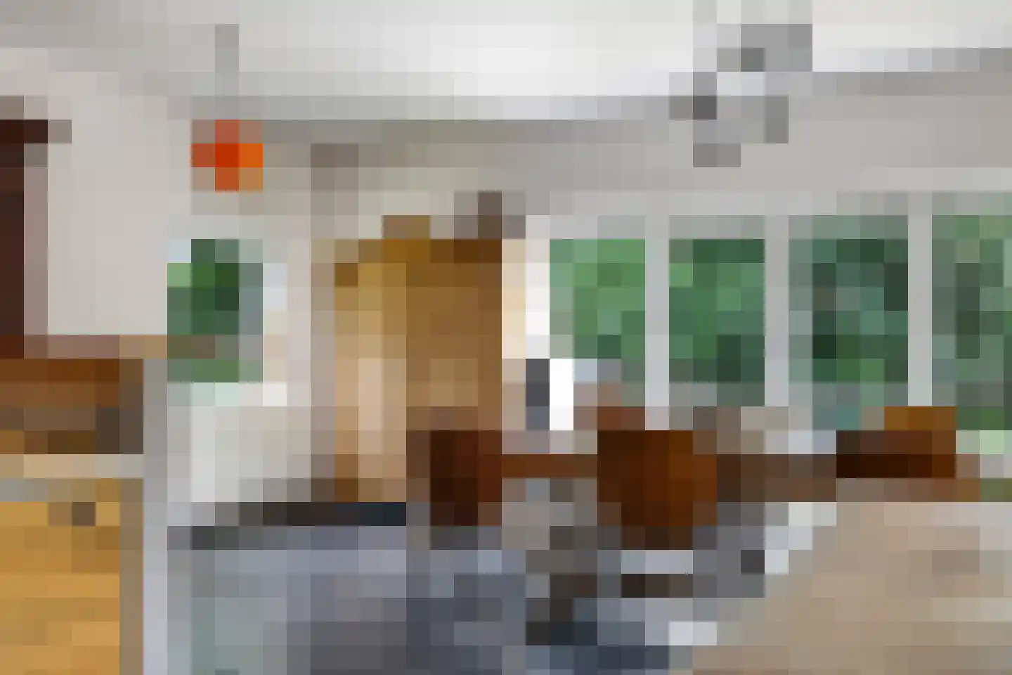 de Pas 13 Doornenburg thumbnail 15