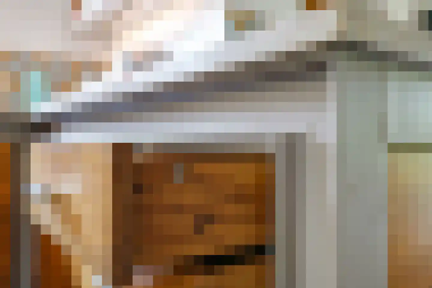 de Pas 13 Doornenburg thumbnail 20
