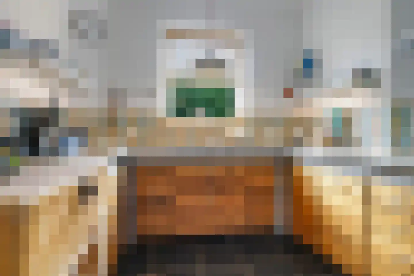 de Pas 13 Doornenburg thumbnail 21