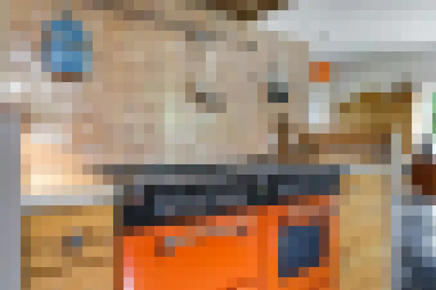 de Pas 13 Doornenburg thumbnail 23