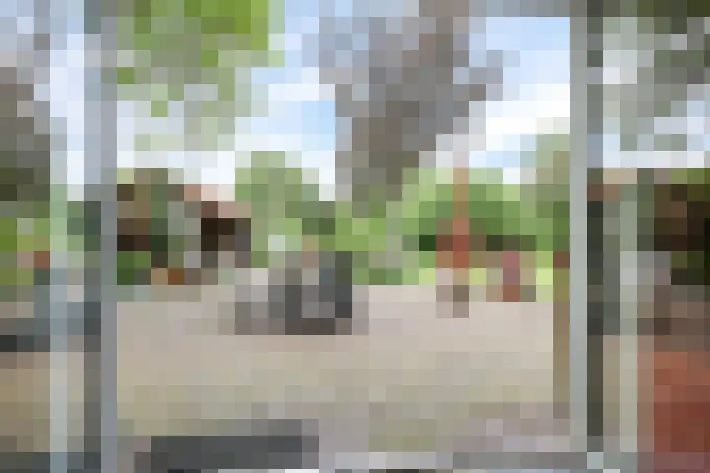 de Pas 13 Doornenburg thumbnail 32