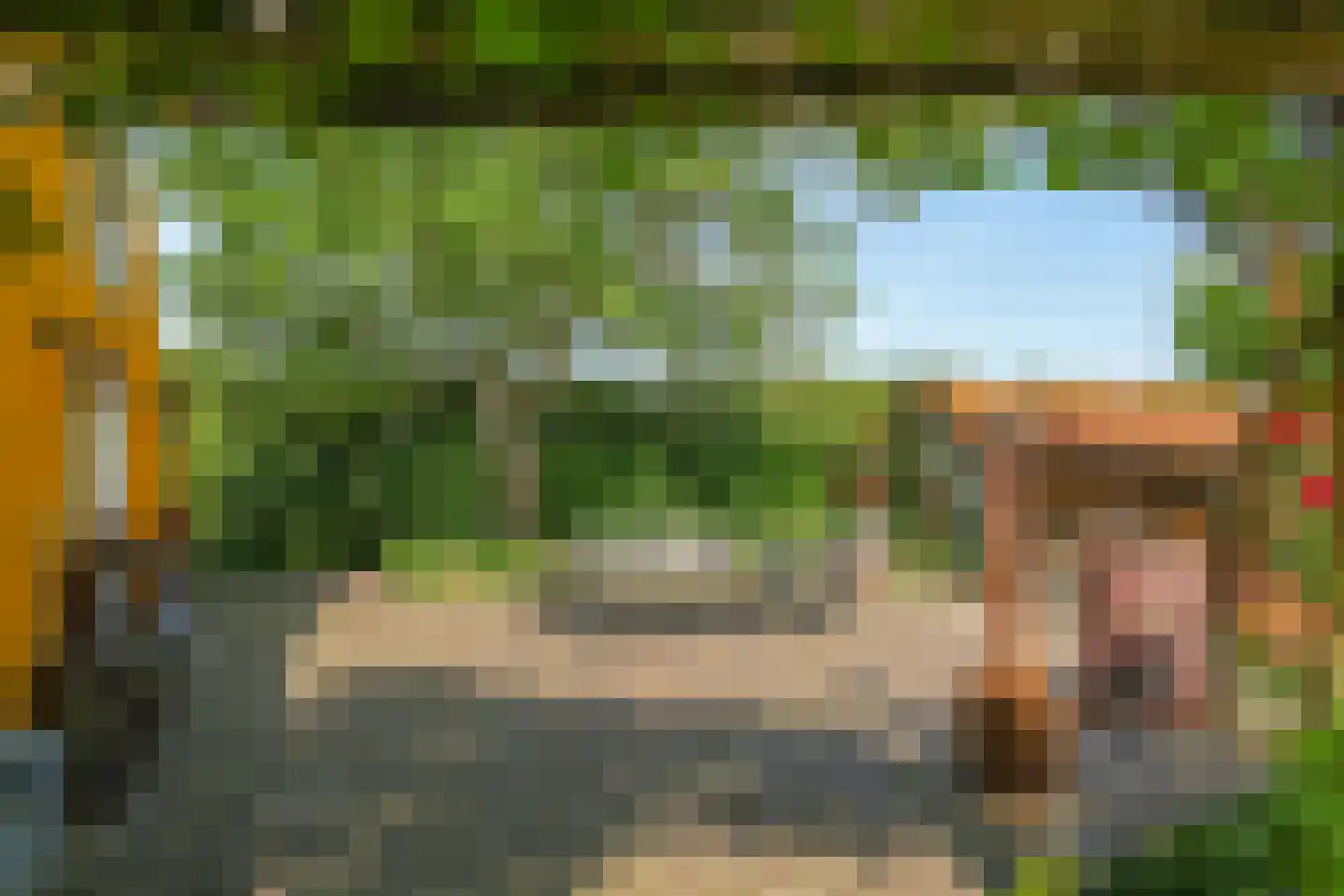 de Pas 13 Doornenburg thumbnail 35