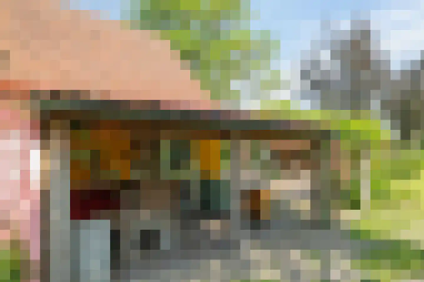 de Pas 13 Doornenburg thumbnail 38