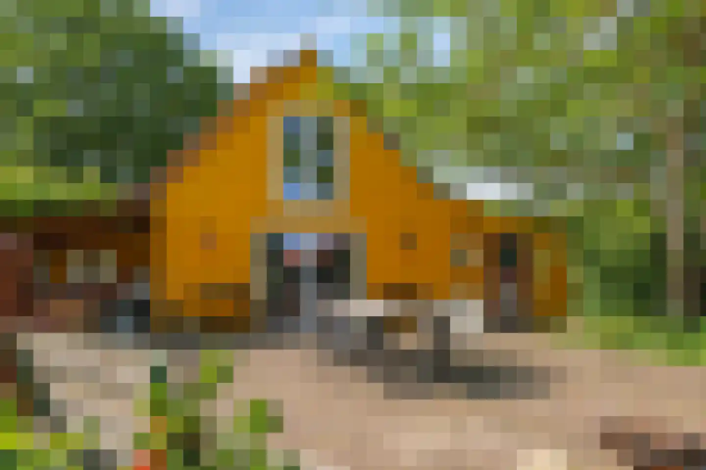 de Pas 13 Doornenburg thumbnail 39