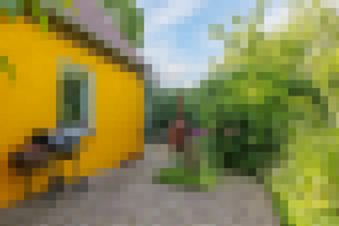 de Pas 13 Doornenburg thumbnail 40