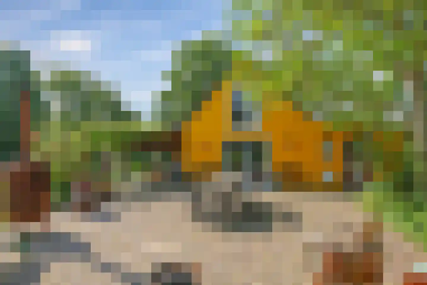 de Pas 13 Doornenburg thumbnail 41