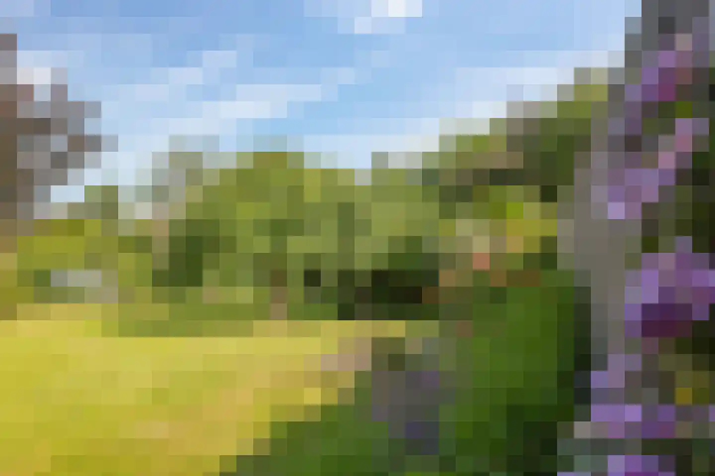 de Pas 13 Doornenburg thumbnail 42