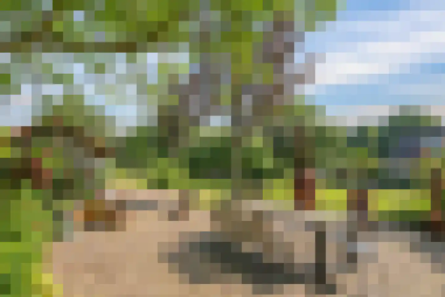 de Pas 13 Doornenburg thumbnail 43