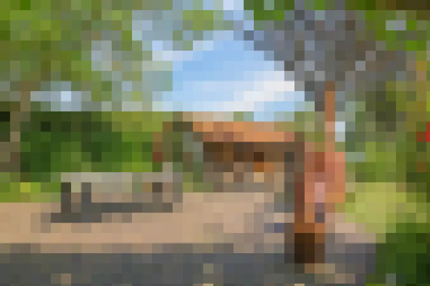 de Pas 13 Doornenburg thumbnail 44
