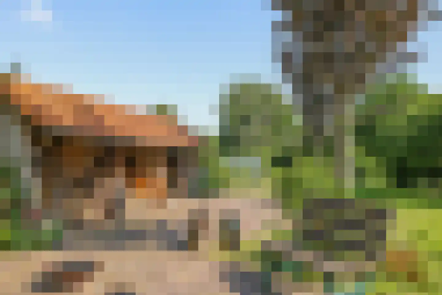 de Pas 13 Doornenburg thumbnail 45