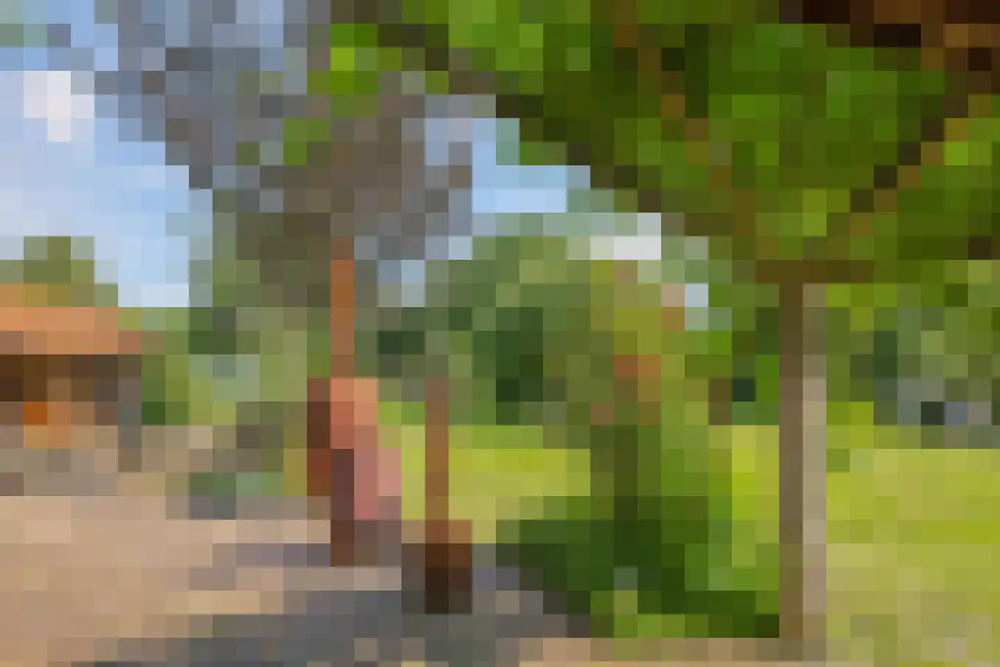 de Pas 13 Doornenburg thumbnail 46