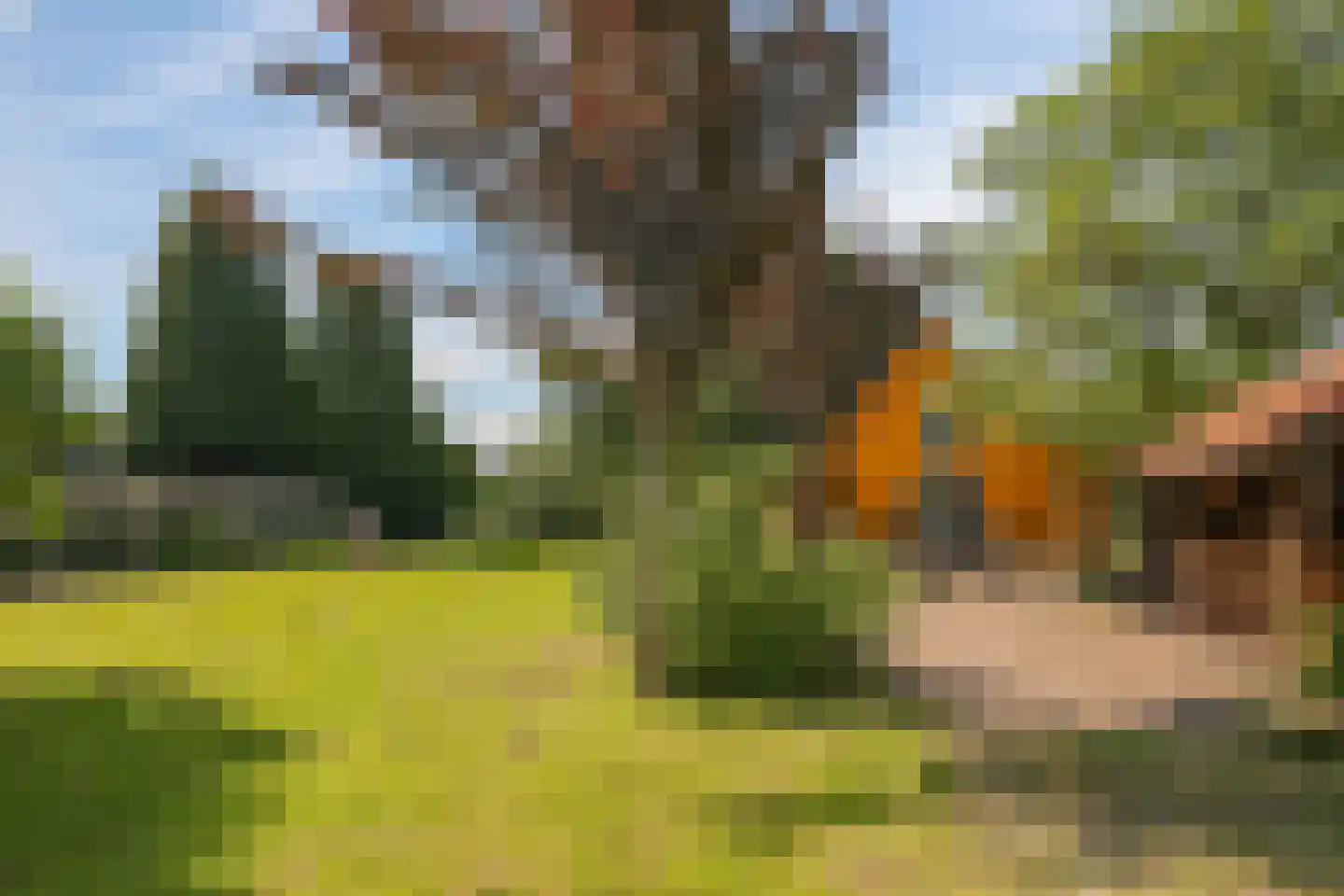 de Pas 13 Doornenburg thumbnail 49