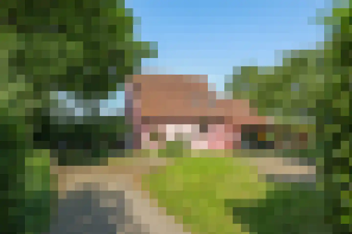 de Pas 13 Doornenburg thumbnail 5