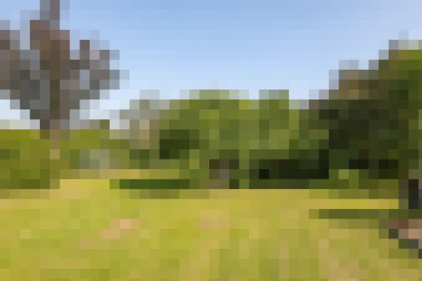 de Pas 13 Doornenburg thumbnail 50