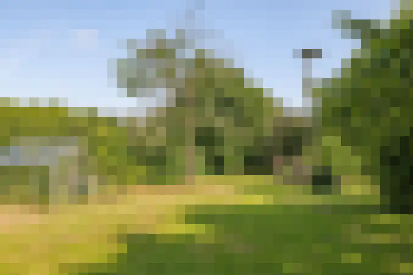 de Pas 13 Doornenburg thumbnail 51