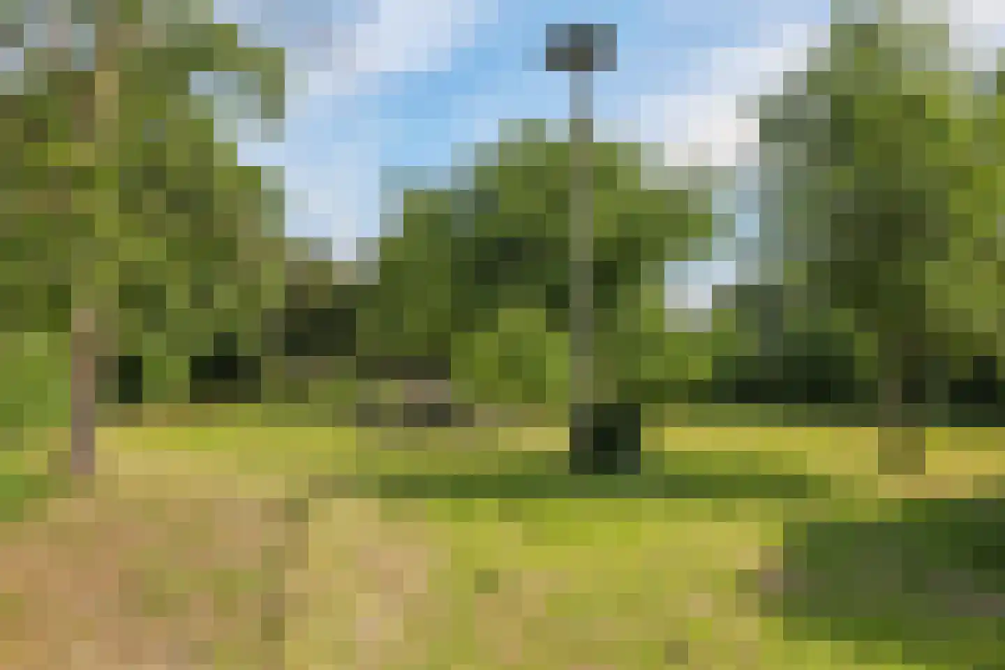 de Pas 13 Doornenburg thumbnail 52