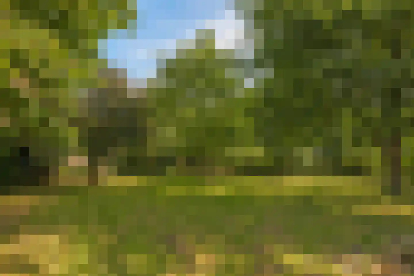 de Pas 13 Doornenburg thumbnail 53