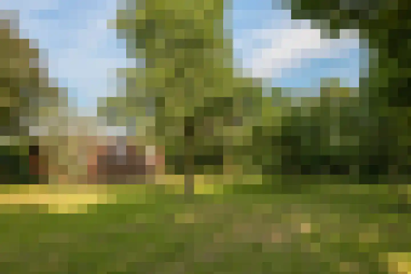de Pas 13 Doornenburg thumbnail 54