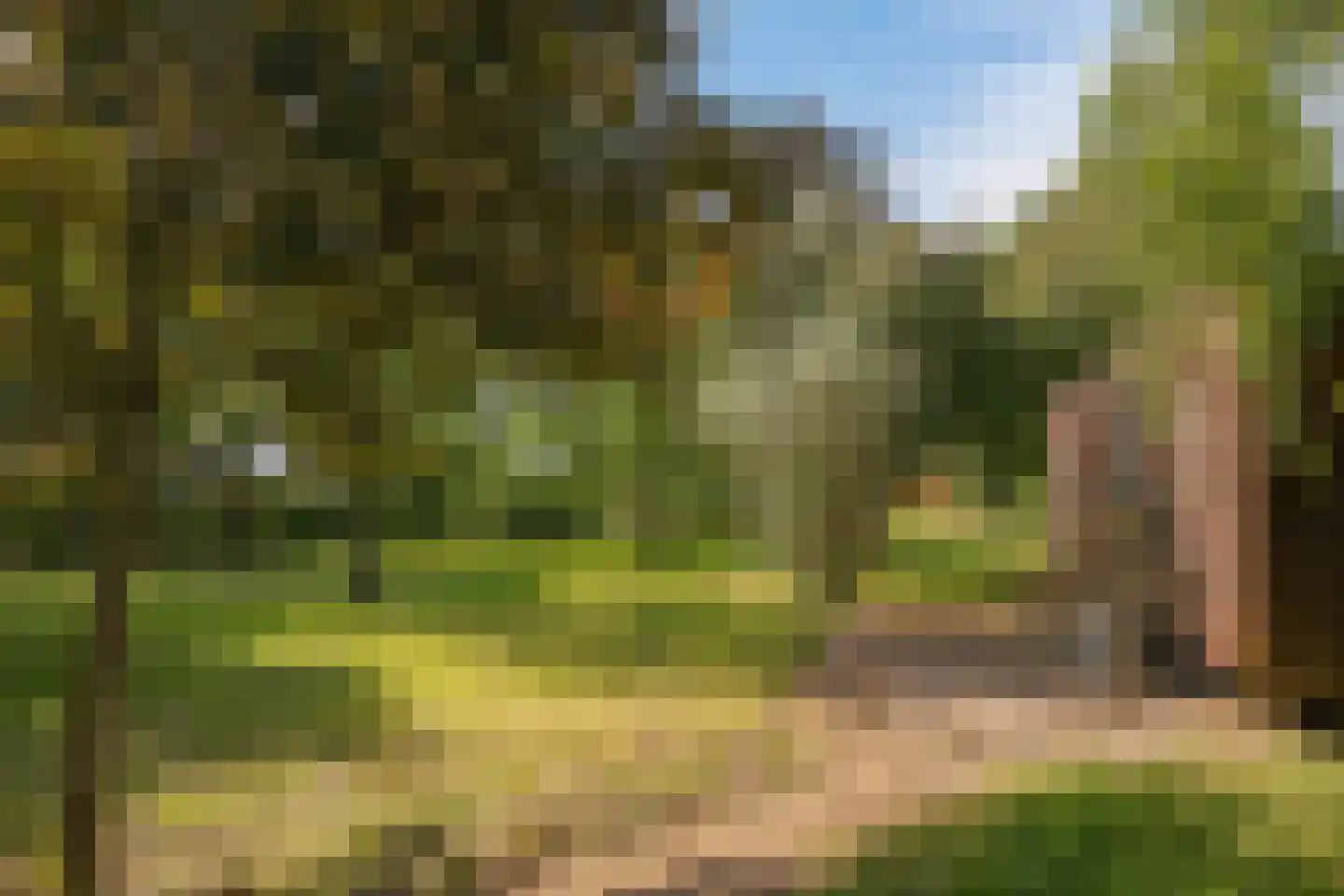 de Pas 13 Doornenburg thumbnail 55