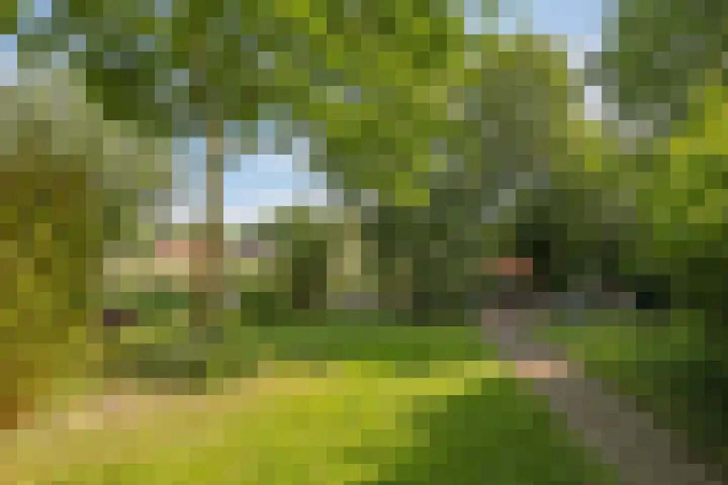 de Pas 13 Doornenburg thumbnail 56
