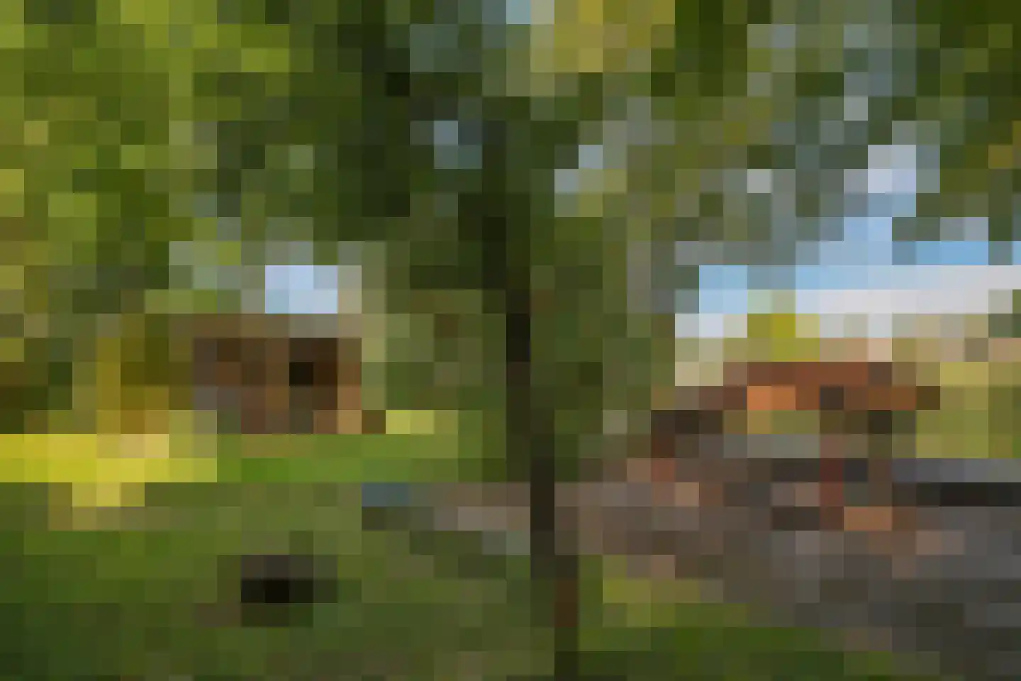 de Pas 13 Doornenburg thumbnail 57