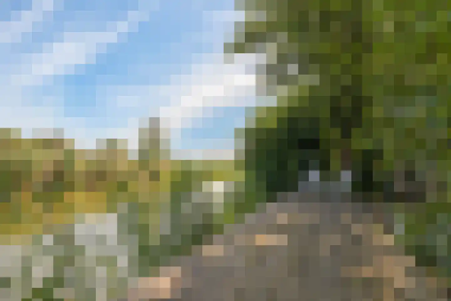 de Pas 13 Doornenburg thumbnail 58