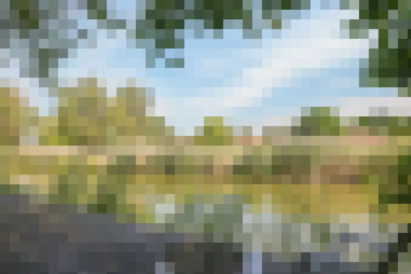 de Pas 13 Doornenburg thumbnail 59