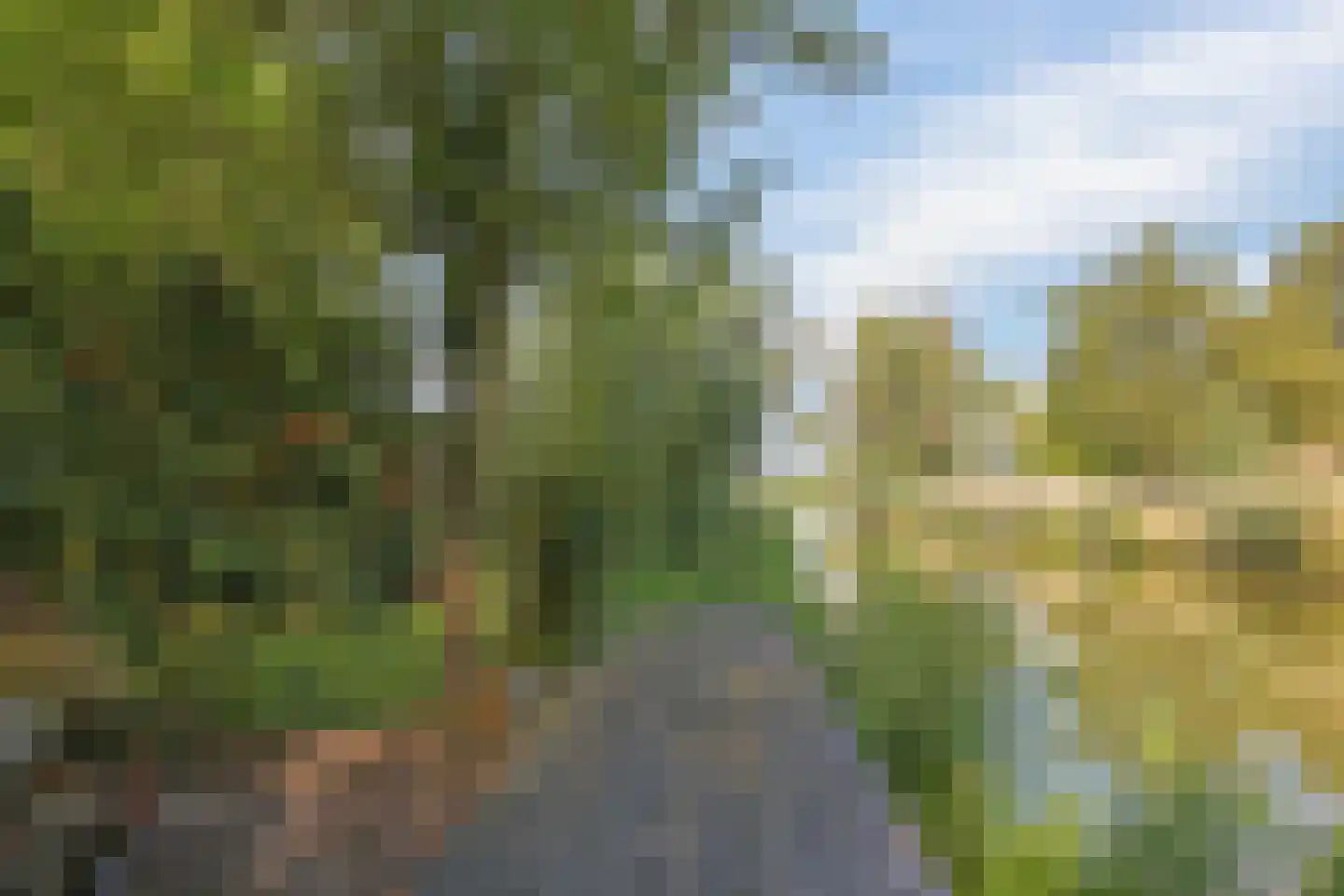 de Pas 13 Doornenburg thumbnail 60