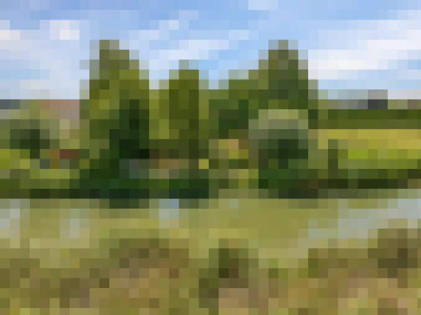 de Pas 13 Doornenburg thumbnail 61