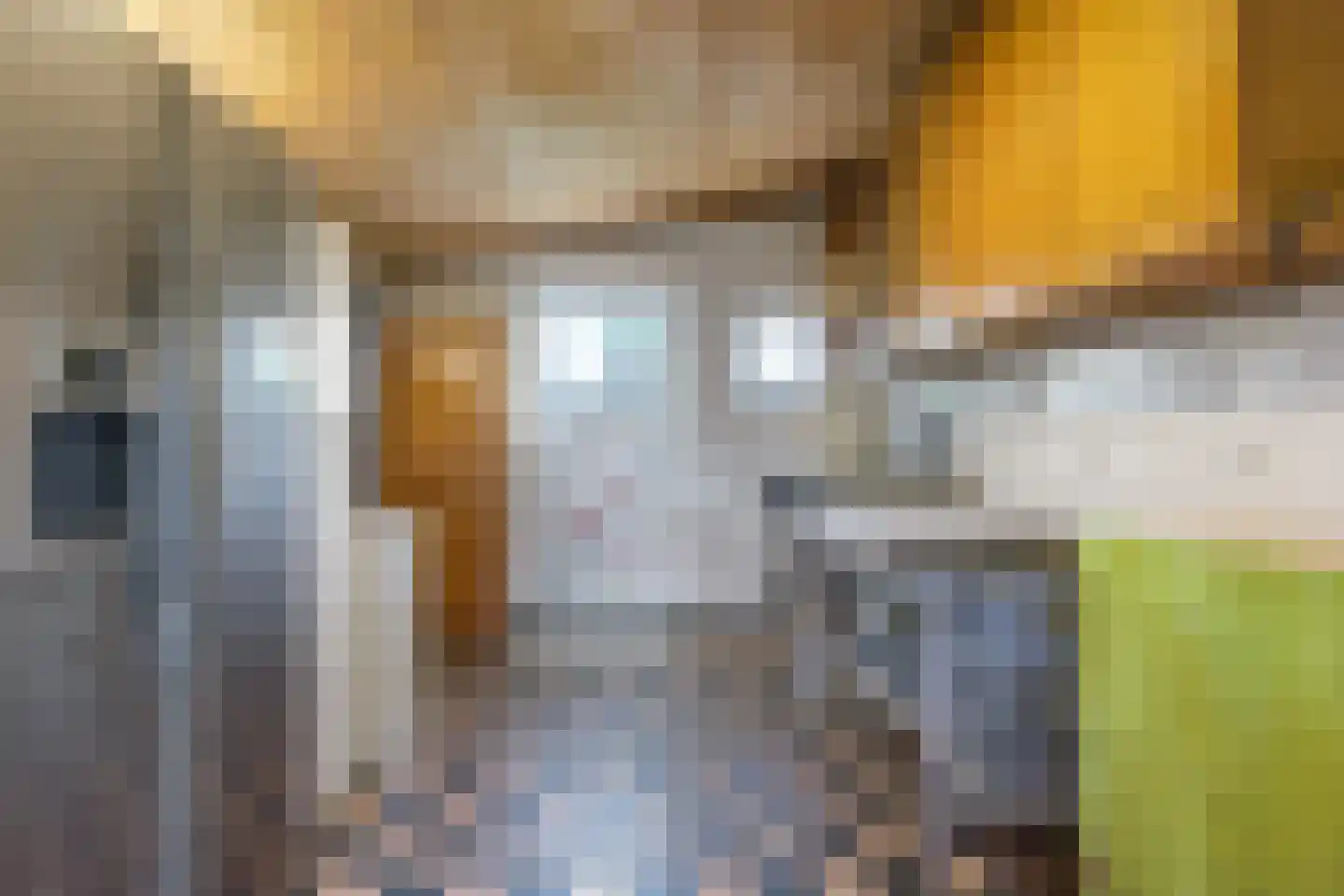 de Pas 13 Doornenburg thumbnail 62