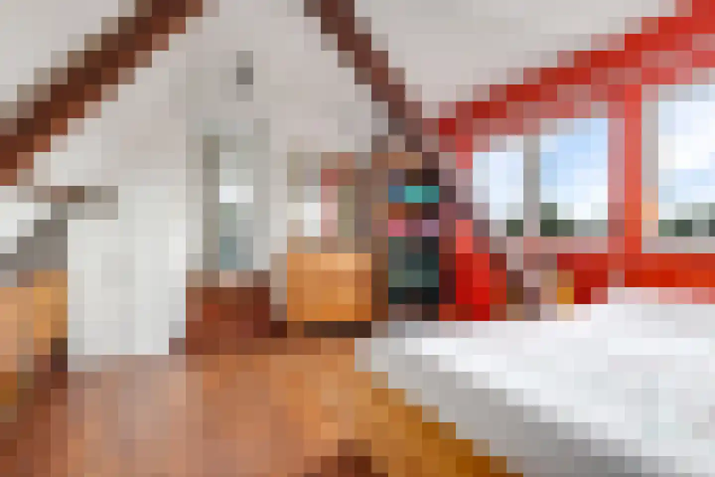 de Pas 13 Doornenburg thumbnail 69