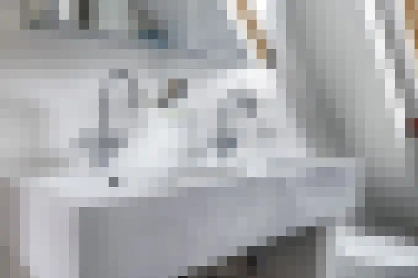 de Pas 13 Doornenburg thumbnail 72