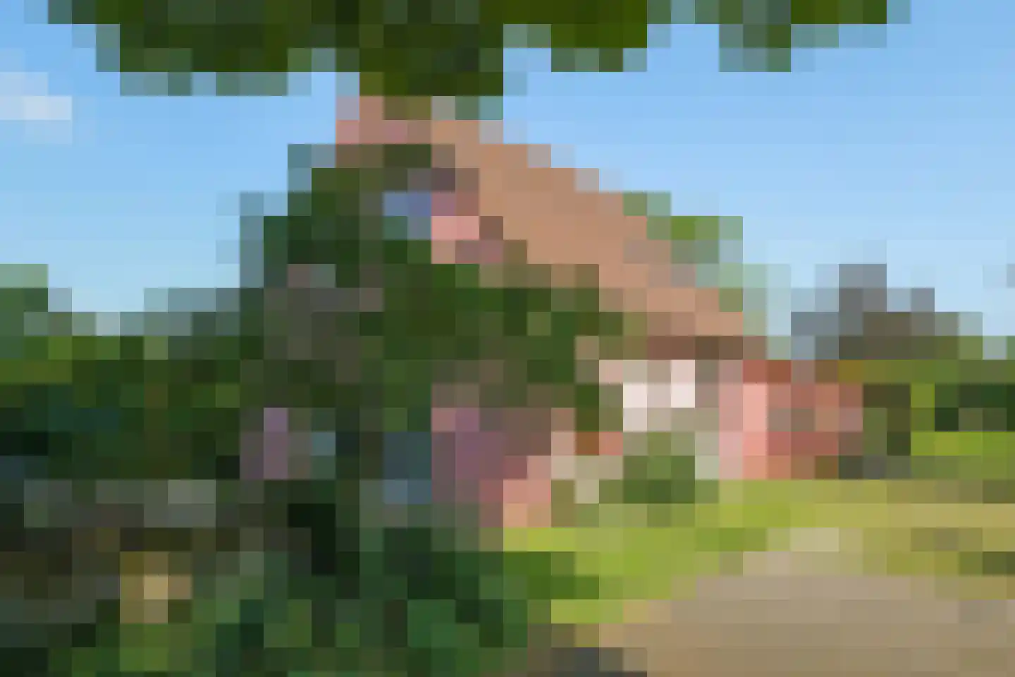 de Pas 13 Doornenburg thumbnail 8