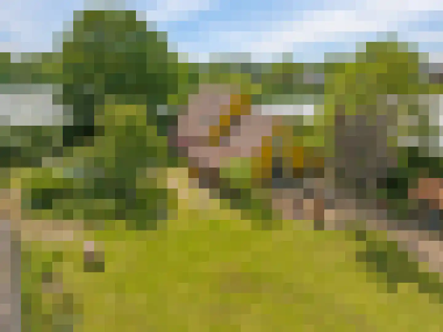 de Pas 13 Doornenburg thumbnail 80