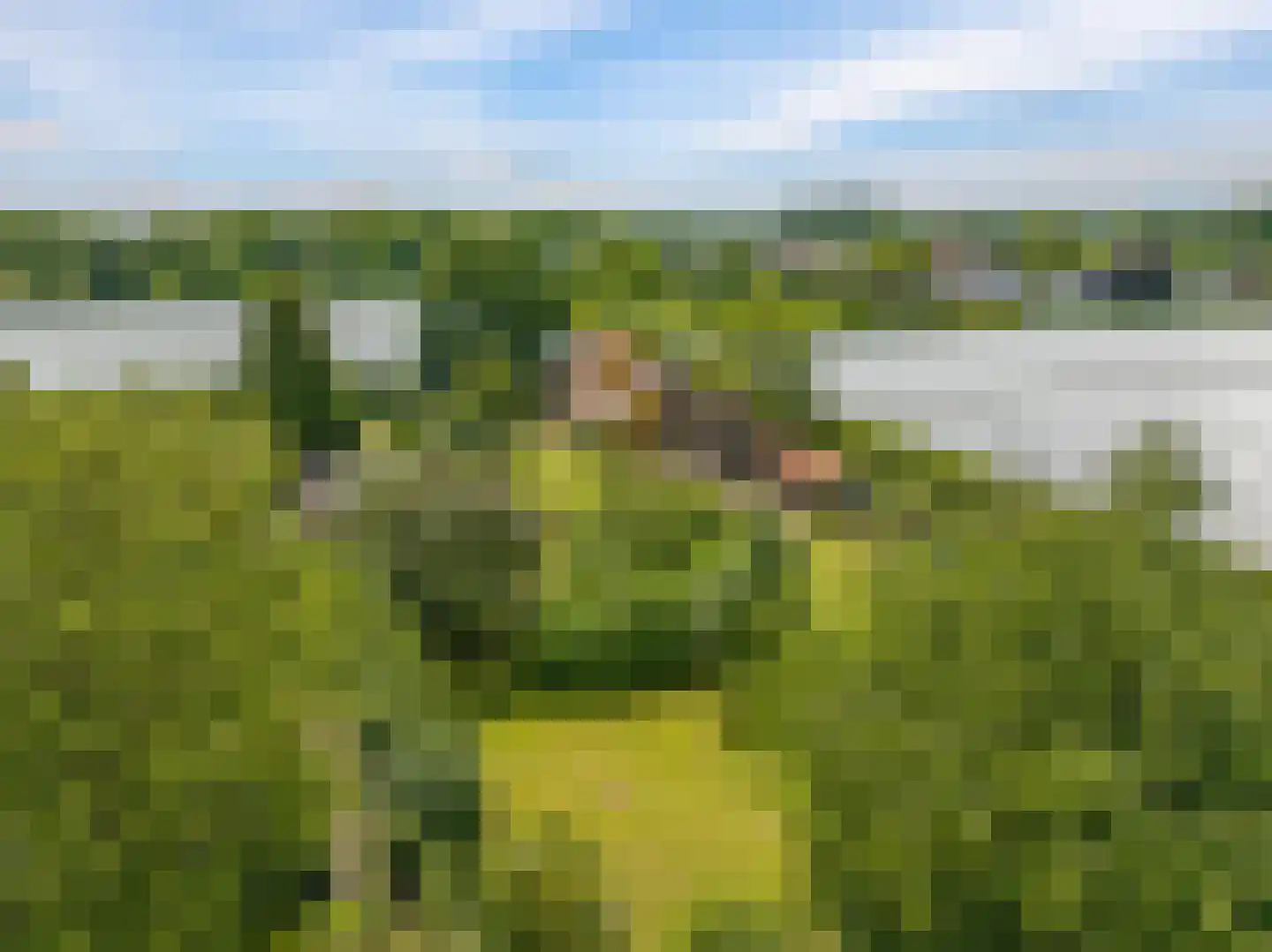 de Pas 13 Doornenburg thumbnail 81