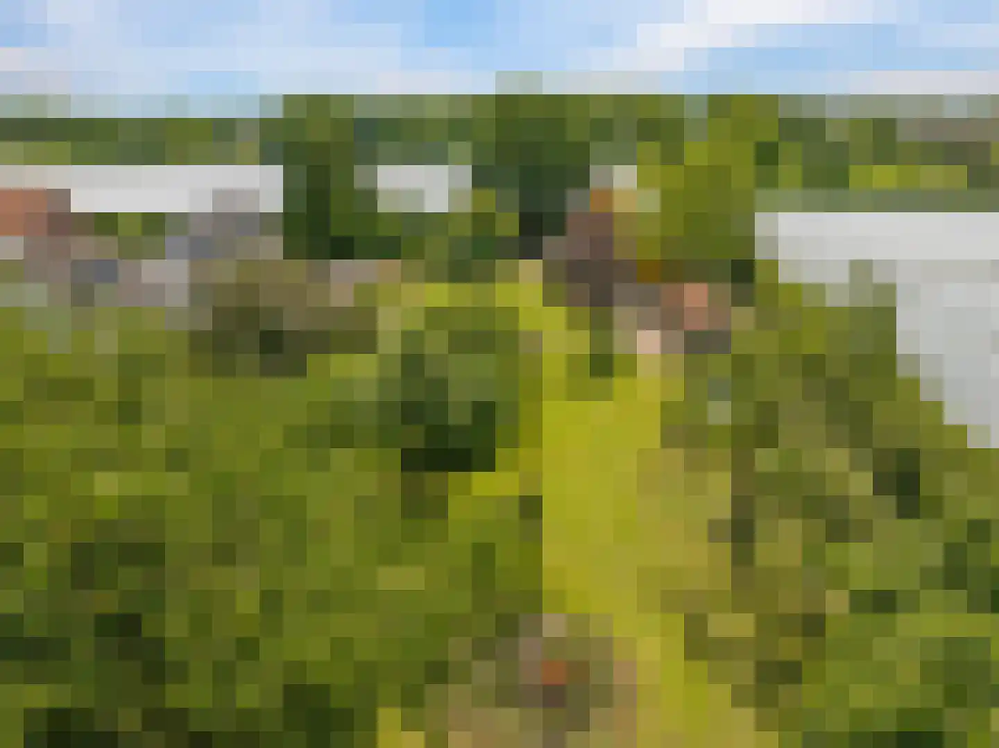 de Pas 13 Doornenburg thumbnail 82