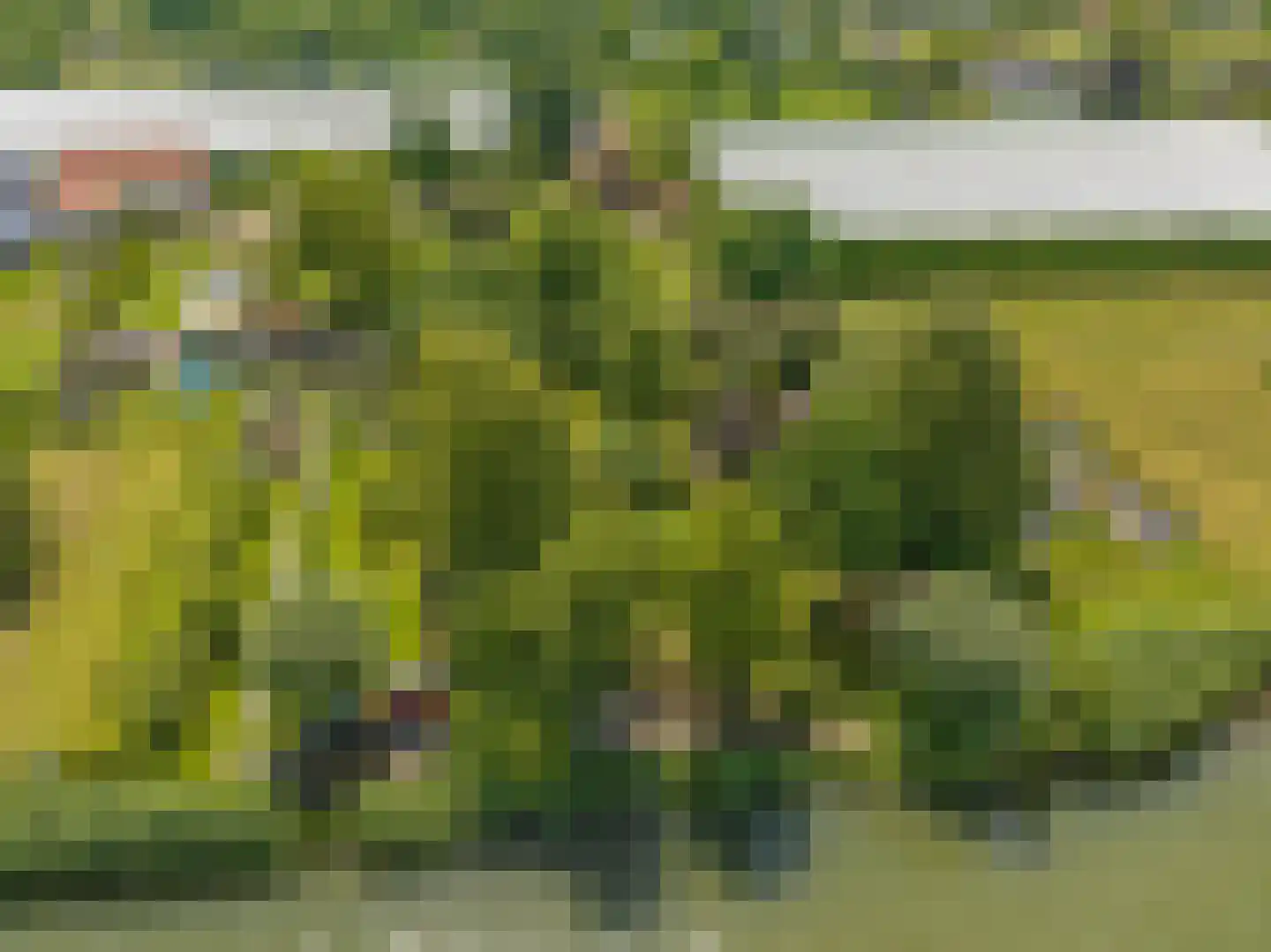 de Pas 13 Doornenburg thumbnail 84