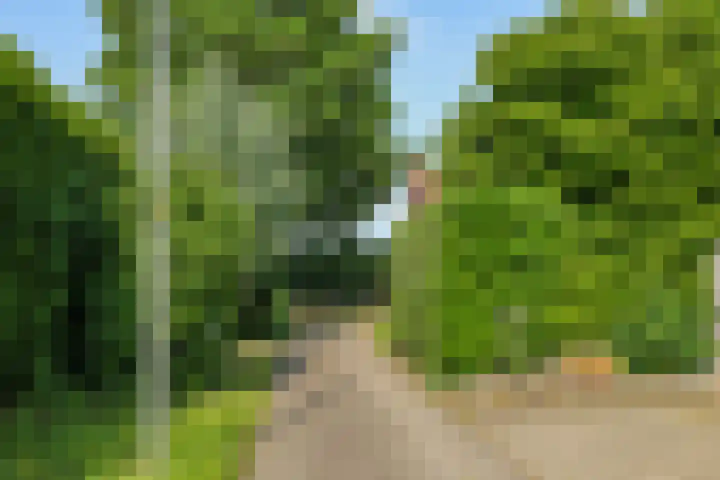 de Pas 13 Doornenburg thumbnail 86