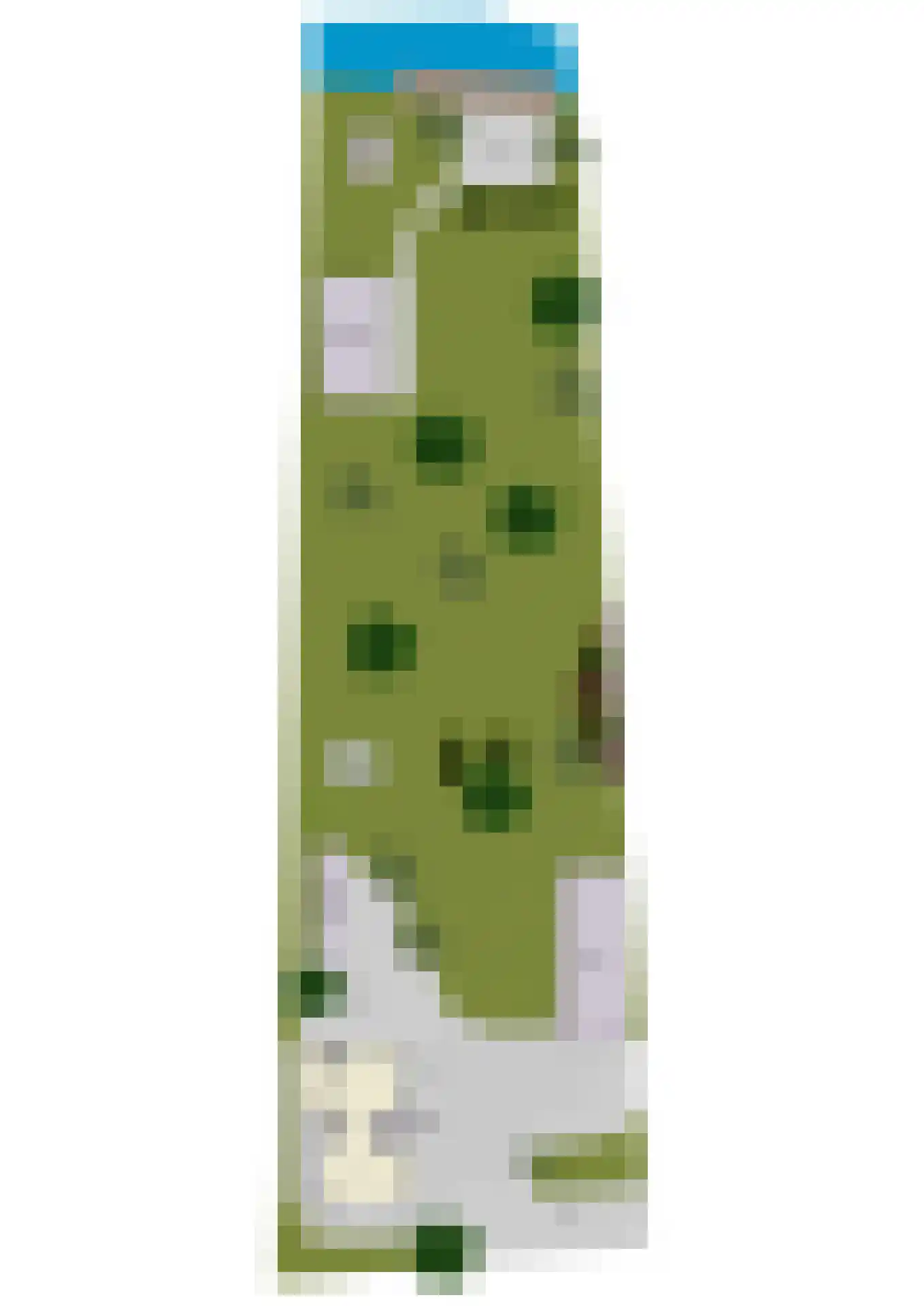 de Pas 13 Doornenburg thumbnail 90