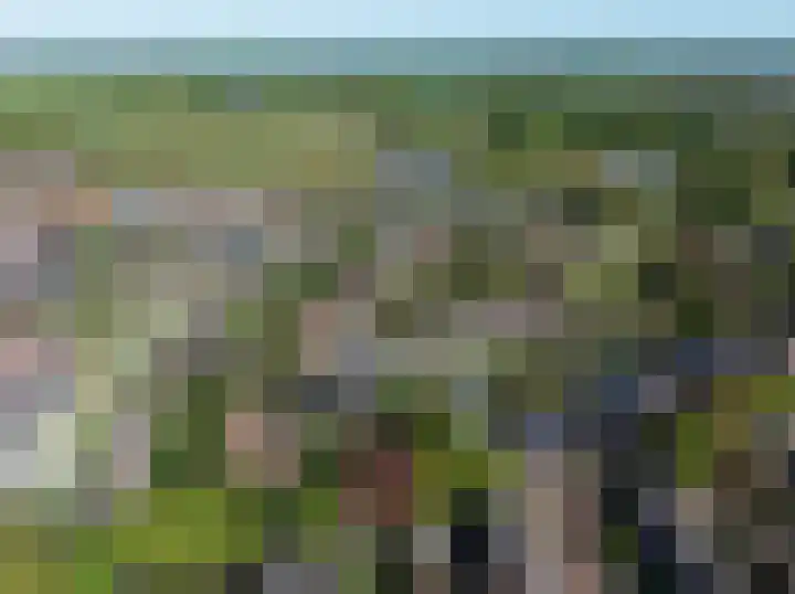 De Pas 21 Beek en Donk thumbnail 4