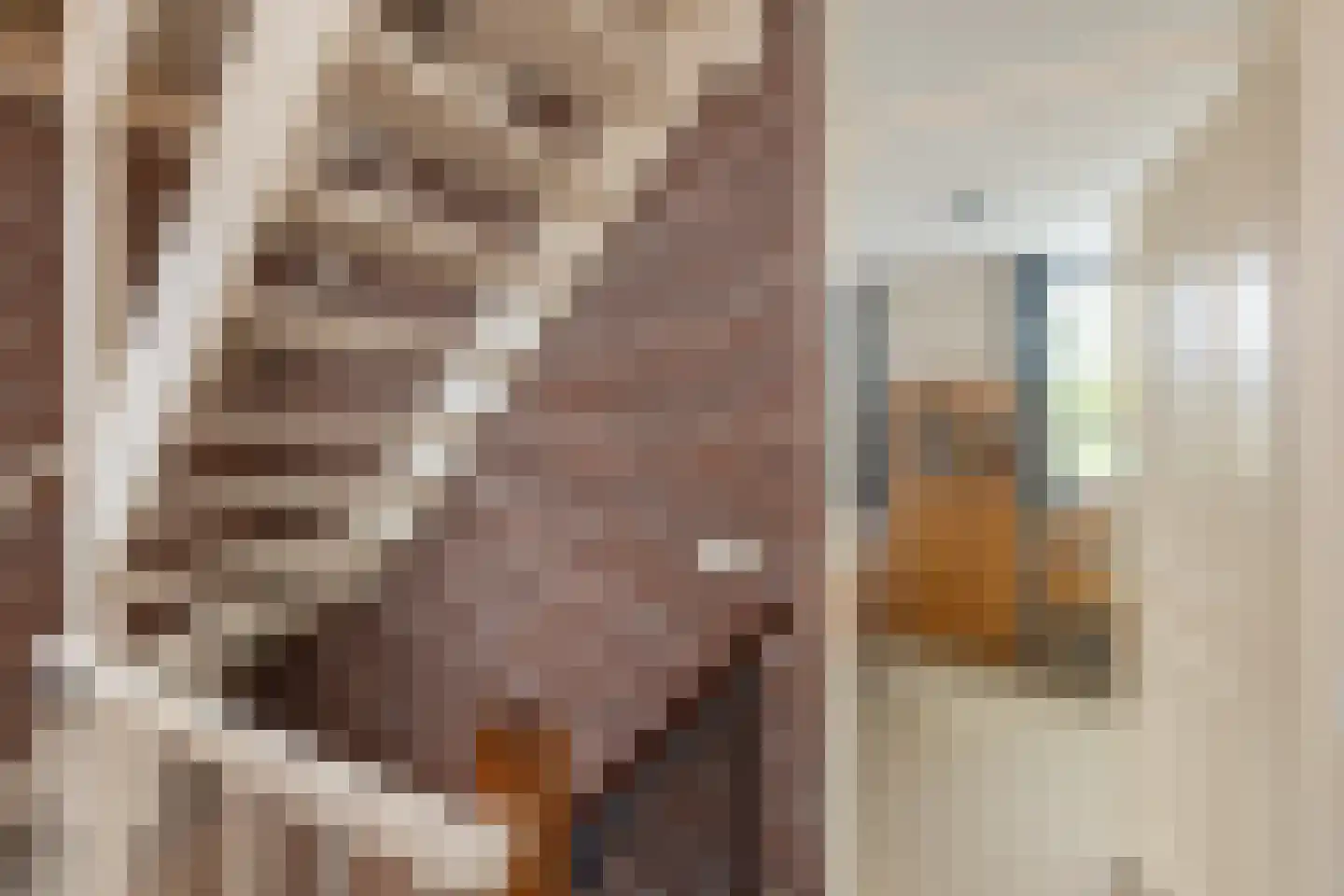 de Pas 32 Haarlo thumbnail 17