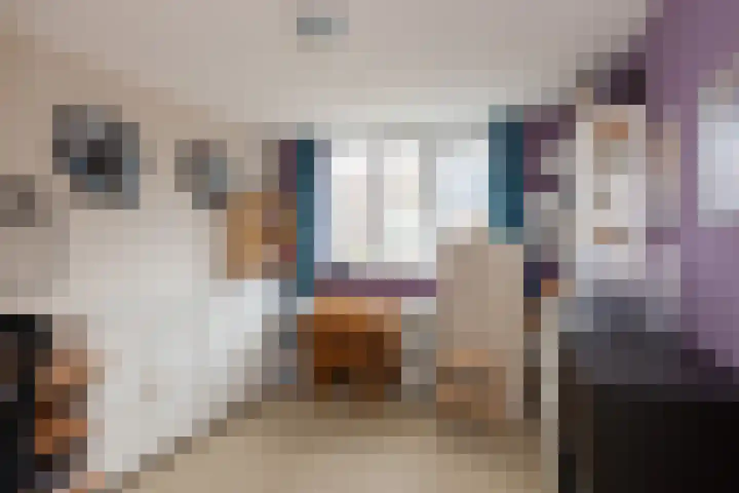 de Pas 32 Haarlo thumbnail 22