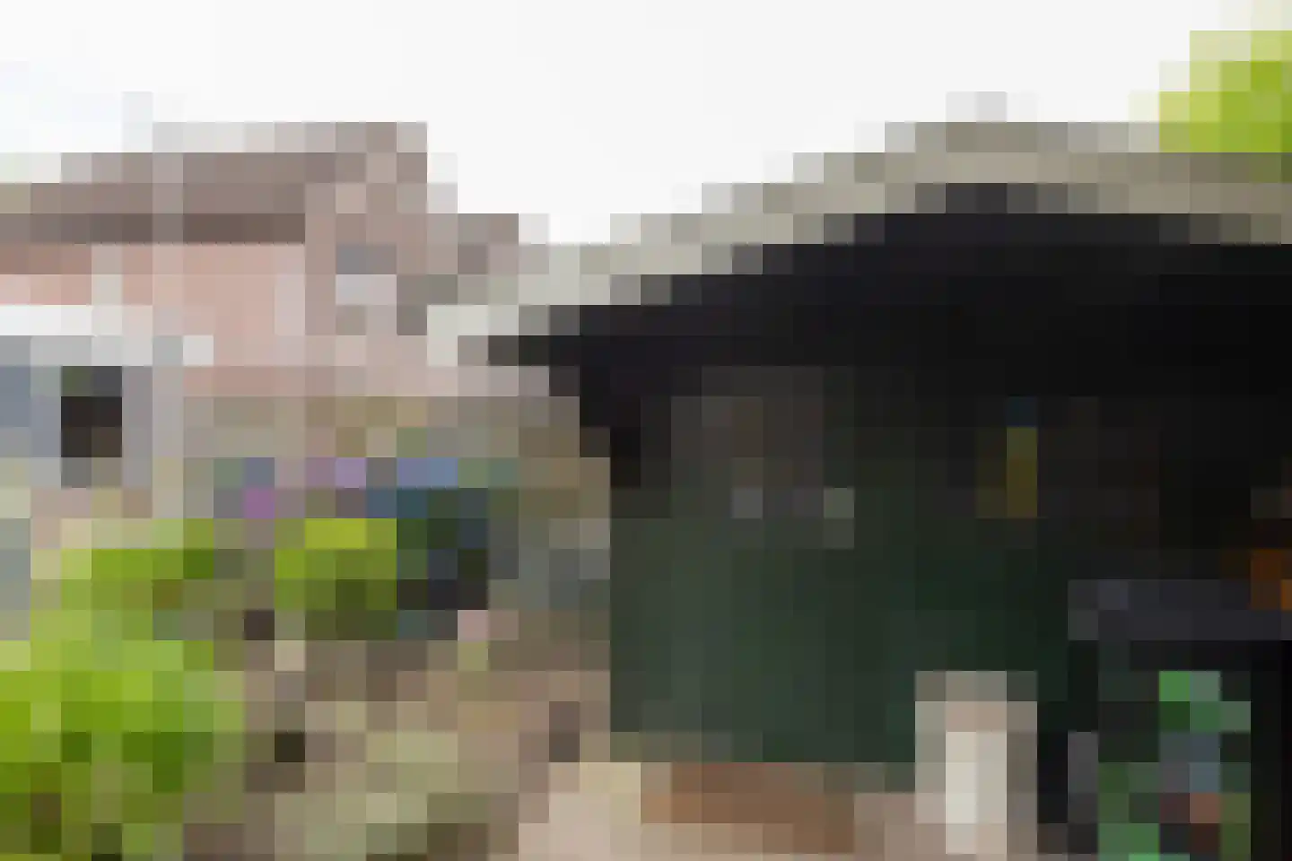 de Pas 32 Haarlo thumbnail 35