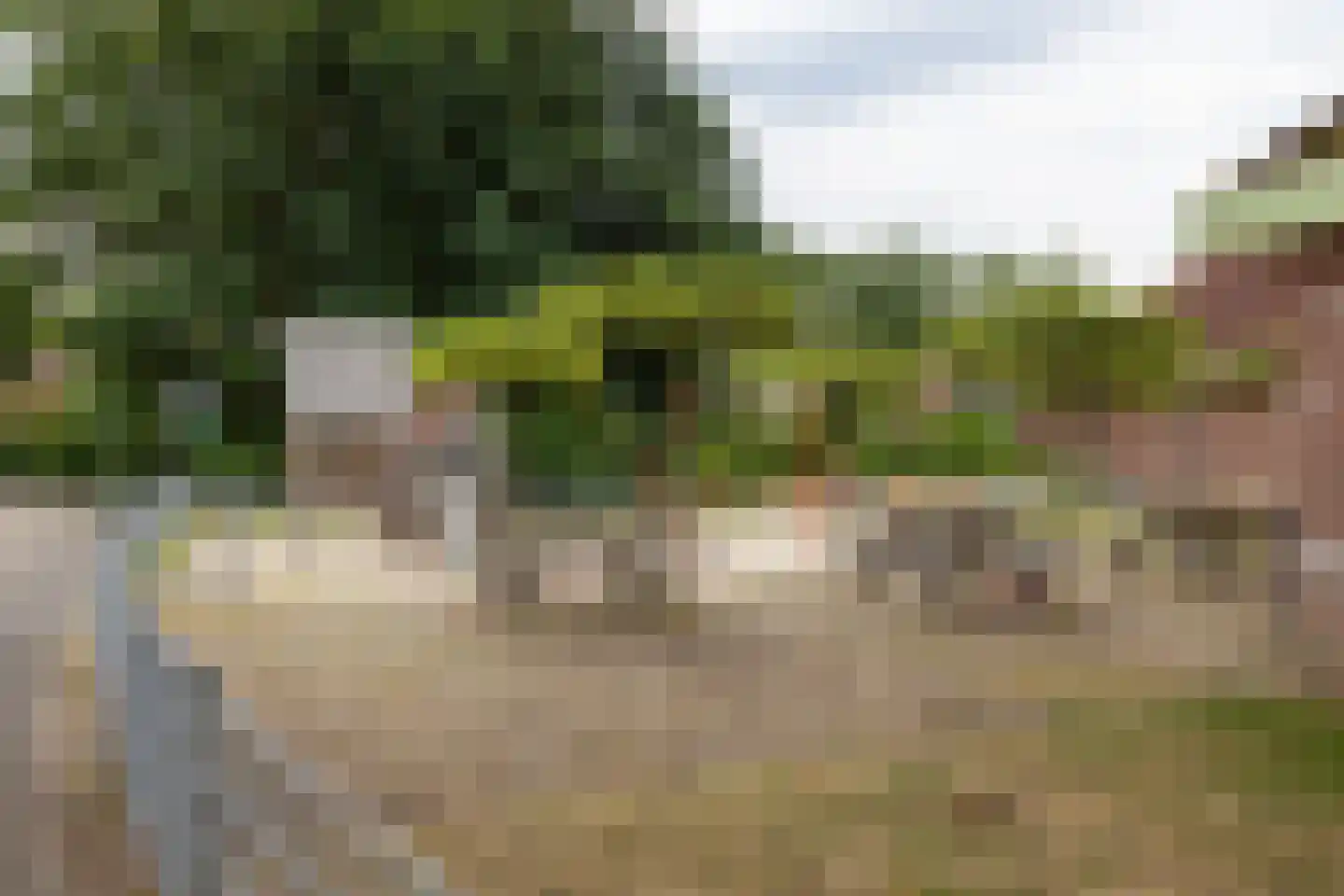 de Pas 32 Haarlo thumbnail 39