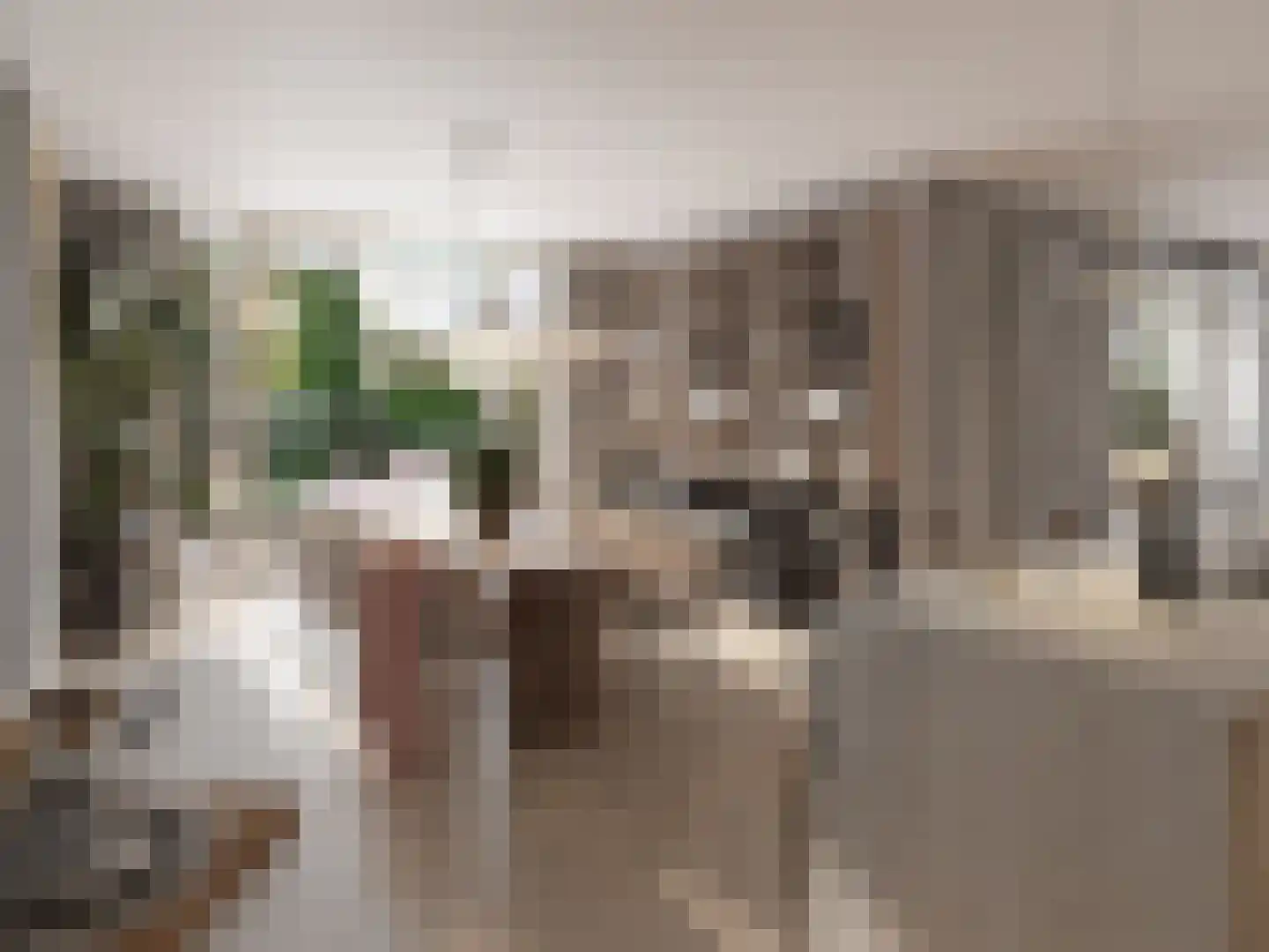 De Pas 36 Beek en Donk foto 2