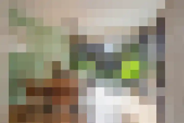 de Pas 54 Haarlo thumbnail 16