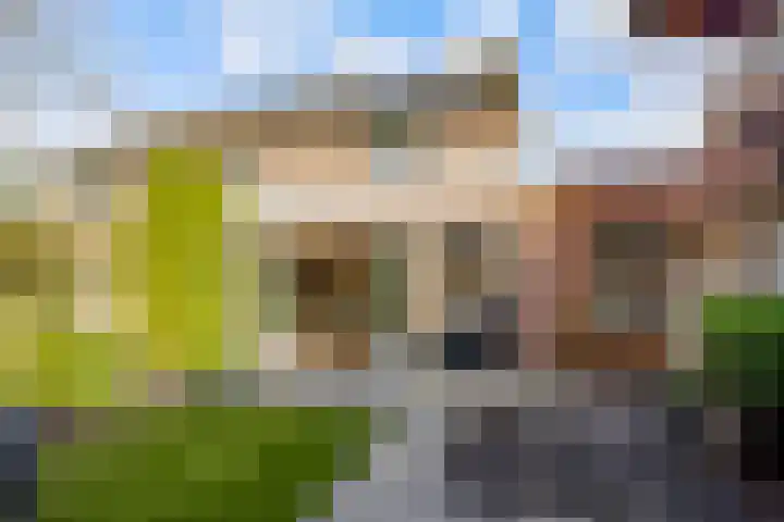 de Pas 54 Haarlo thumbnail 48